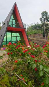 Greenlush Paruntumpara