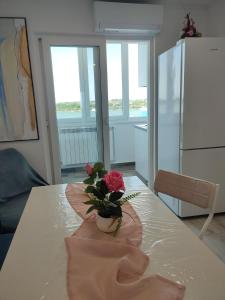 Apartament Pelicanul