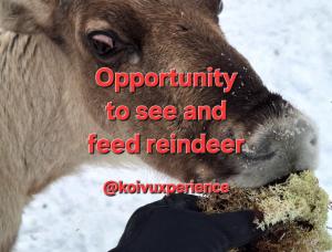 Mukava mummonmökki maaseudun rauhassa