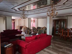 مصر الجديدة شارع عباس العقاد