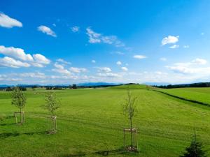 Ferienwohnung Zugspitze