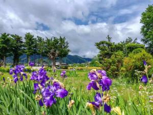 祥和之家 Serenity Home