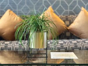 Executive Hotel Apartment at Oynx