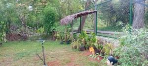 Matheesha Homestay