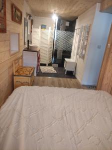 Appartements Studio en Abondance : photos des chambres