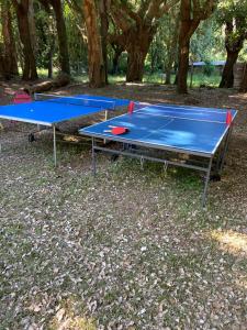 B&B / Chambres d'hotes Suite de 2 chambres - Cap Corse - Domaine 1001 nuits : photos des chambres