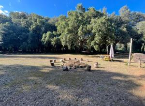 B&B / Chambres d'hotes Suite de 2 chambres - Cap Corse - Domaine 1001 nuits : photos des chambres