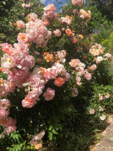 Logaston Common Farmhouse