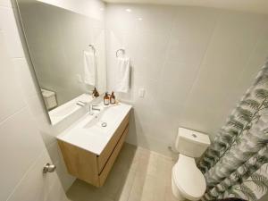 Hermosa vista de stgo 3d 2b