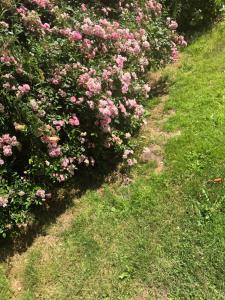 Logaston Common Farmhouse