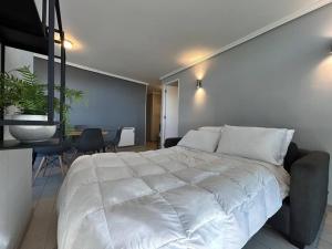 Hermosa vista de stgo 3d 2b