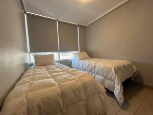 Hermosa vista de stgo 3d 2b