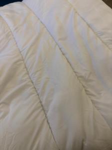 Sejours chez l'habitant Chambre a louer : photos des chambres