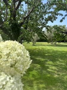 Maison familiale avec piscine