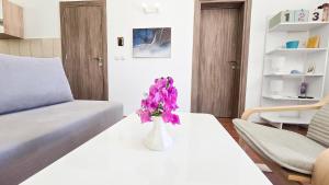 Apartments Zora, Sea View Balcony, Free Parking in Dobrota Kotor