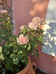 Terra Solaris Guesthouse