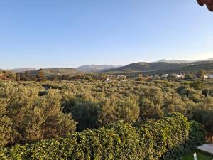 Terra Solaris Guesthouse