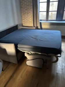 Lappart de la Rivière