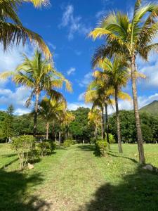 Montagua rincon campestre