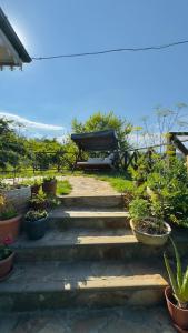 Blacksea Dream House