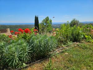 Appartement VUE MER an der Côte dAzur für 2-3 Personen mit Gartenanteil