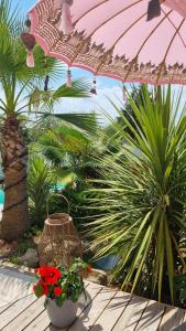 B&B / Chambres d'hotes La Villa Tonga - Chambres d-hotes a Fronsac : photos des chambres