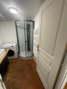 Appartements Duplex Hyper centre cosy : photos des chambres