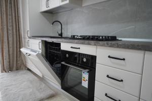 Apartament ultracentral NICOL