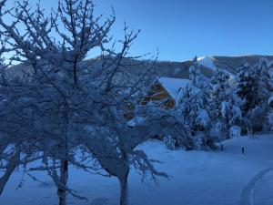 Auron Chaleureux 2pieces au calme vue Montagne ensoleillé Renové Les Mouflons