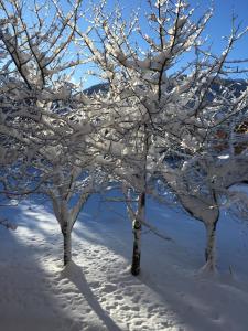 Appartements Auron Chaleureux 2pieces au calme vue Montagne ensoleille Renove Les Mouflons : photos des chambres
