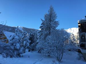 Appartements Auron Chaleureux 2pieces au calme vue Montagne ensoleille Renove Les Mouflons : photos des chambres