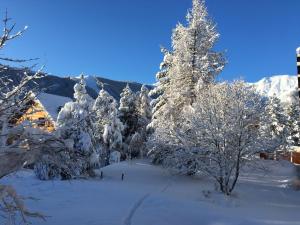 Appartements Auron Chaleureux 2pieces au calme vue Montagne ensoleille Renove Les Mouflons : photos des chambres