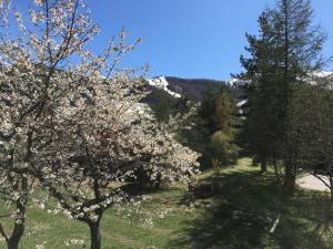 Appartements Auron Chaleureux 2pieces au calme vue Montagne ensoleille Renove Les Mouflons : photos des chambres
