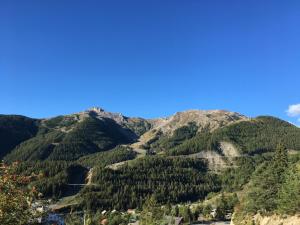 Appartements Auron Chaleureux 2pieces au calme vue Montagne ensoleille Renove Les Mouflons : photos des chambres