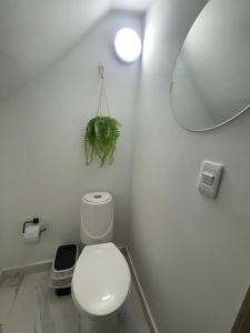 Apartamento entero privado excelente ubicación