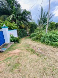 Blue beach villa