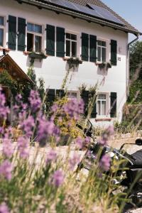 Apartamenty Sudeckie nad zalewem II