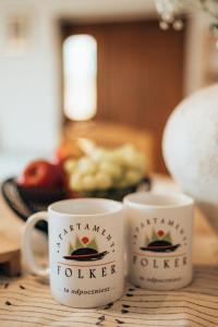 Rodzinny apartament FOLKER