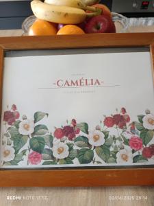 Le Clos des Romarins Gîte CAMELIA