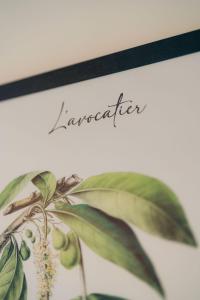 Les Ti Kaz d'Auguste - 3hvězdičkové hotely ve městě Les Avirons