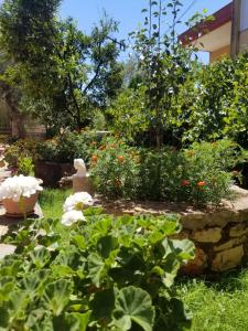 Vila,Apartaments Luani