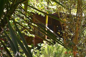 Licensed 2 bedroom cabin Close to San Ignacio, local dining, and adventure tours