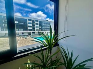 Azores Pico Salomão T3 - G - 3hvězdičkové hotely ve městě Ponta Delgada