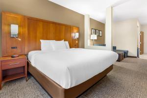 King Room - Disability Access/Non-Smoking room in Comfort Suites Greensboro-High Point