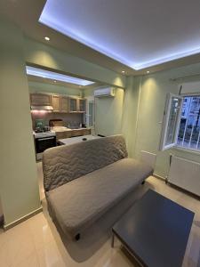 UpTown40 Ground Floor Apartment with Easy Free Street Parking