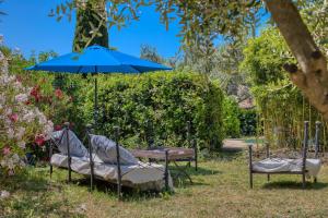 B&B / Chambres d'hotes Mas Les Micocouliers : photos des chambres