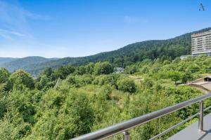 Mountain Nest Sinaia