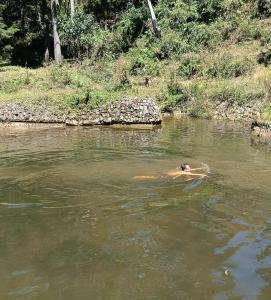 Finca 5 Continentes - Cerca MatroCable ARVI