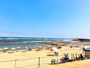 Palm beach in Mansouria