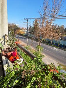 Departamento metro Rondizzoni